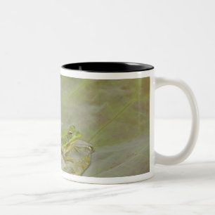 Frosch und Lotusblütenblatt, China, Zweifarbige Tasse