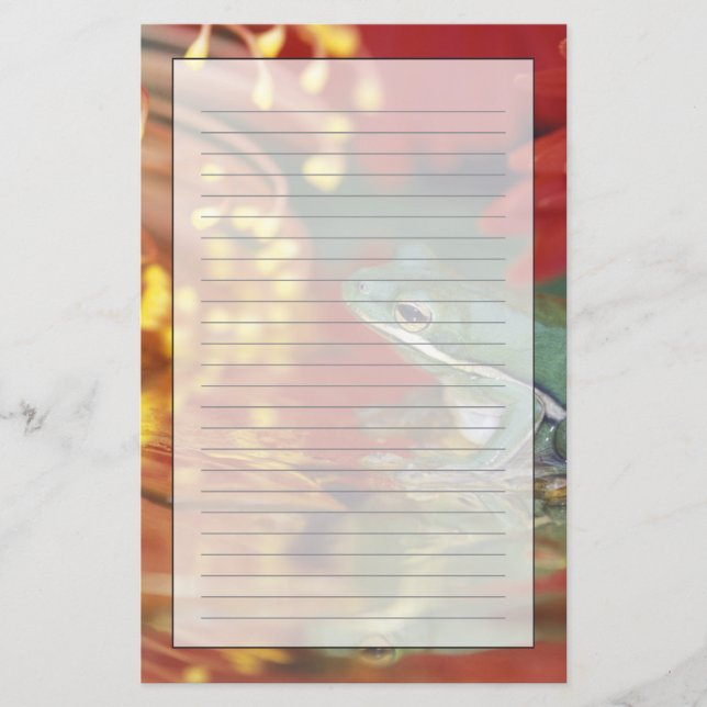 Frosch und Reflexionen unter Blume. Kredit als: Briefpapier (Vorderseite)