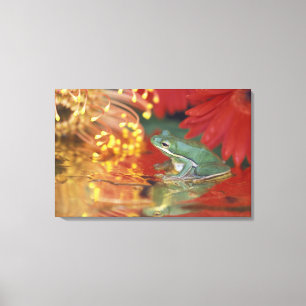 Frosch und Reflexionen unter Blume. Kredit als: Leinwanddruck