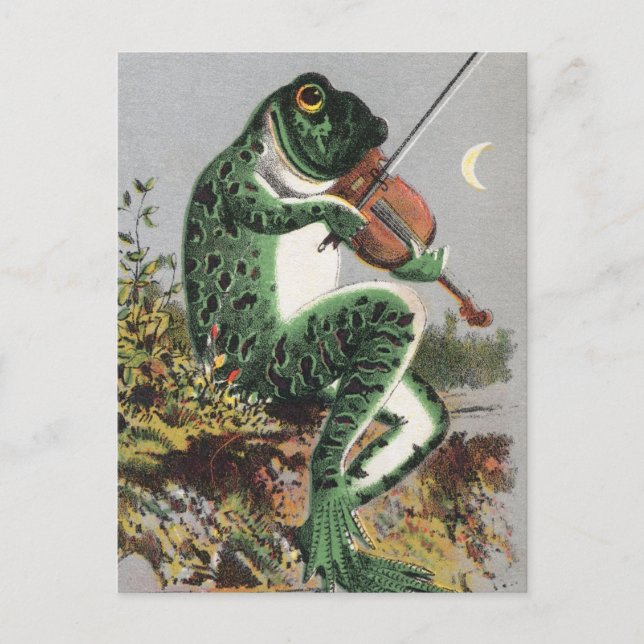 Frosch Violine Vintage Postkarte spielen (Vorderseite)