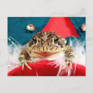 Frosch Weihnachten , Tinsel, Federn, santa Muster