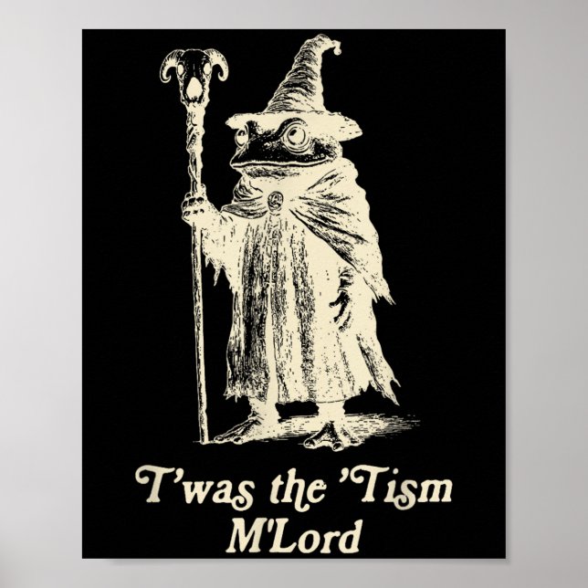 Frosch Wizard Meme Autismus Bewusstsein war die Ti Poster (Vorne)