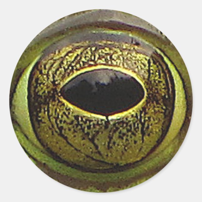Froschauge Runder Aufkleber (Vorderseite)