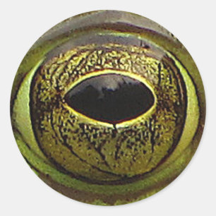 Froschauge Runder Aufkleber