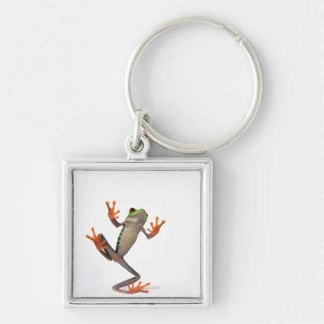 Froschbauch Schlüsselanhänger (Vorne)
