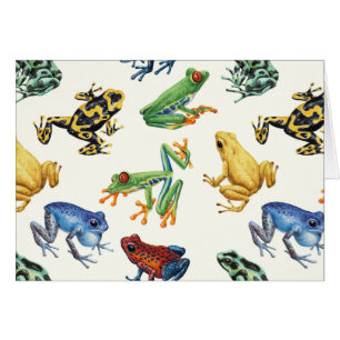 Frösche auf natürlichem Weiß