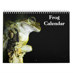 Frösche Kalender 2027
