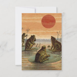 Frösche Lily Pads Moon Illustration