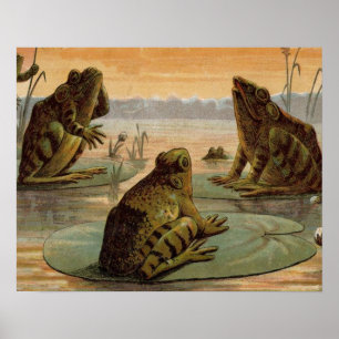 Frösche Lily Pads Moon Illustration Poster