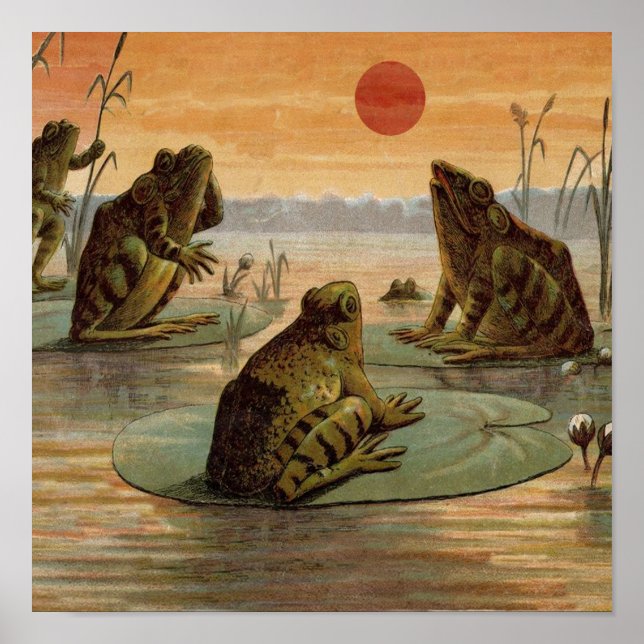 Frösche Lily Pads Moon Illustration Poster (Vorne)