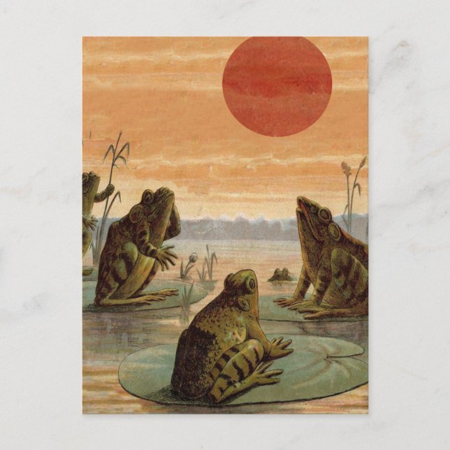 Frösche Lily Pads Moon Illustration Postkarte (Vorderseite)