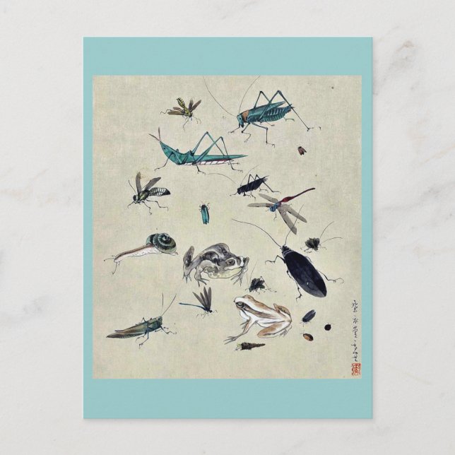 Frösche, Schnecken und Insekten Postkarte (Vorderseite)