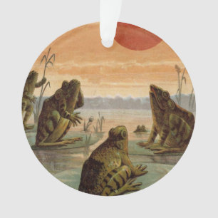 Frösche Seerosenblätter Mond Illustration Ornament