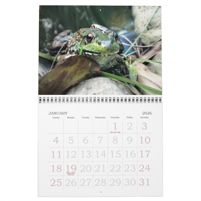 Froschkalender 2015 kalender (Jan 2026)