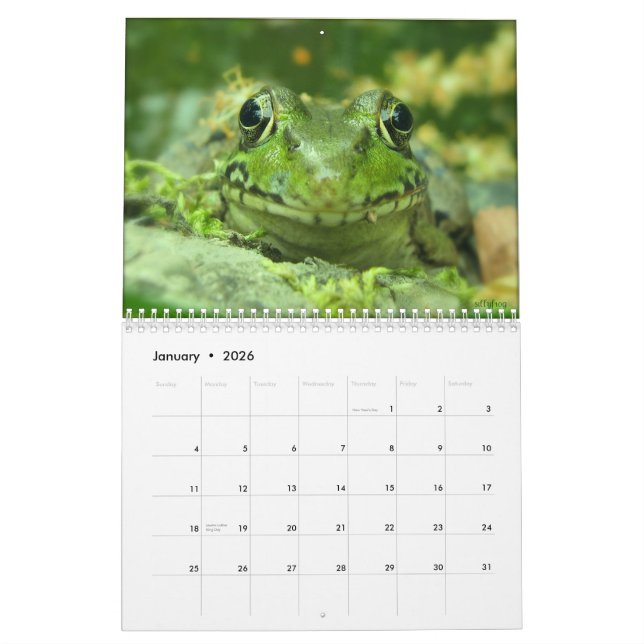 Froschkalender Kalender (Jan 2026)