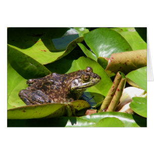 Froschkarte