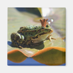Froschkönig Magnet