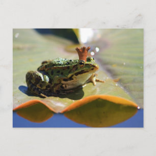 Froschkönig Postkarte
