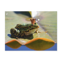 Froschkönig