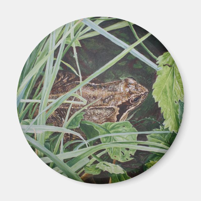 Froschmagnet Magnet (Vorne)