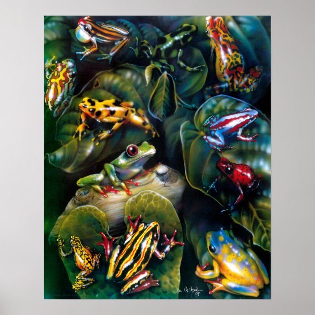 Froschposter Poster (Vorne)