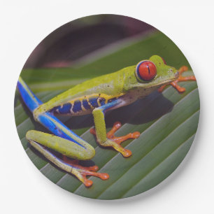 Froschrei-Foto Pappteller