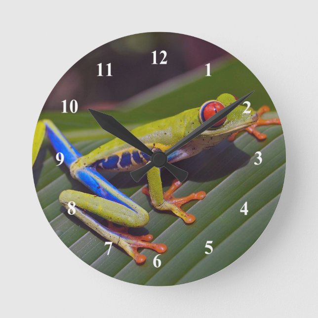 Froschrei-Foto Runde Wanduhr (Vorderseite)
