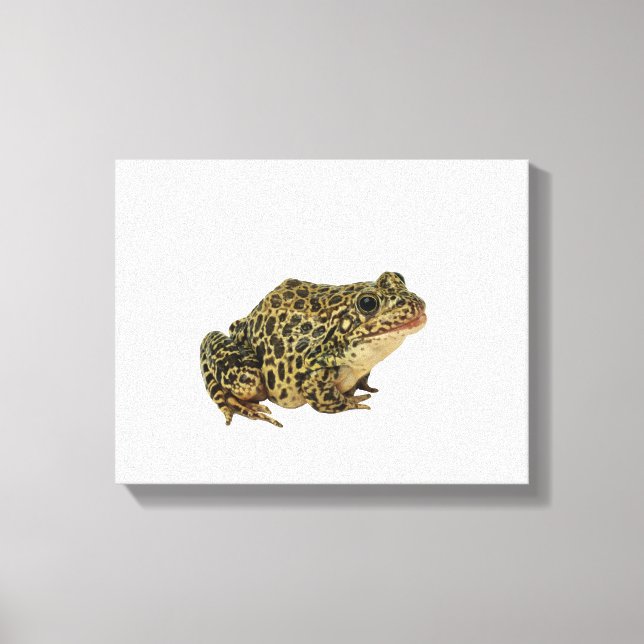 Froschschschatten Leinwanddruck (Vorderseite)