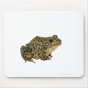 Froschschschatten Mousepad