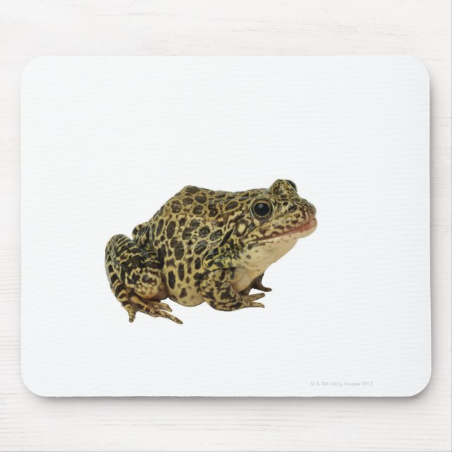 Froschschschatten Mousepad (Vorne)
