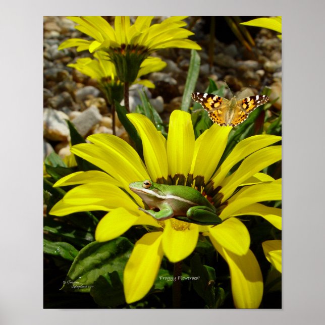 Froschschschmetterling-Blume Poster (Vorne)