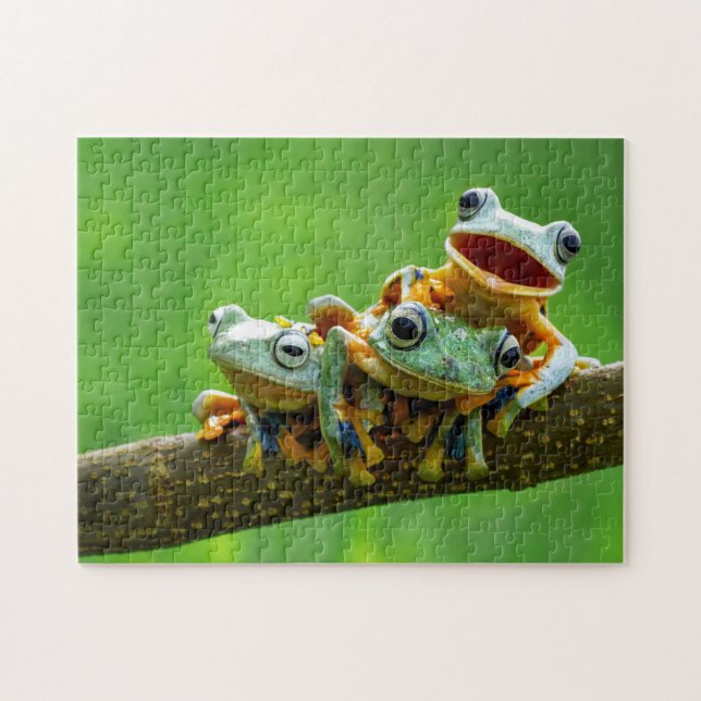 Froschschweiße, Puzzle (Horizontal)
