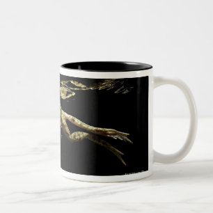 Froschschwimmen in der Dunkelheit gerade unterhalb Zweifarbige Tasse