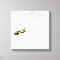 Froschspringen und tauchen ins Wasser