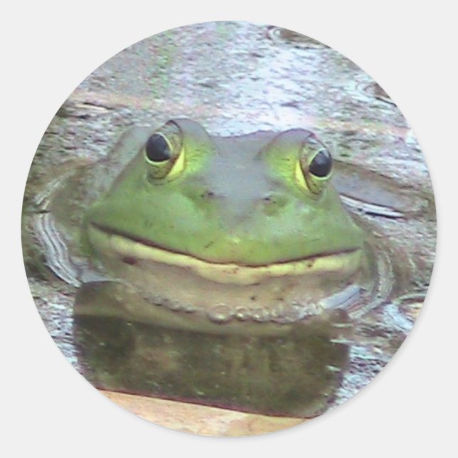 Froschsticker Runder Aufkleber (Vorderseite)