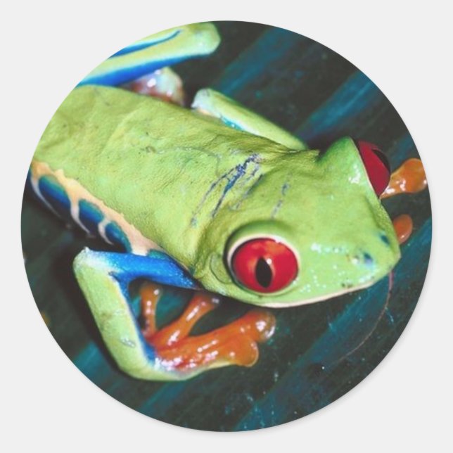 Froschsticker Runder Aufkleber (Vorderseite)