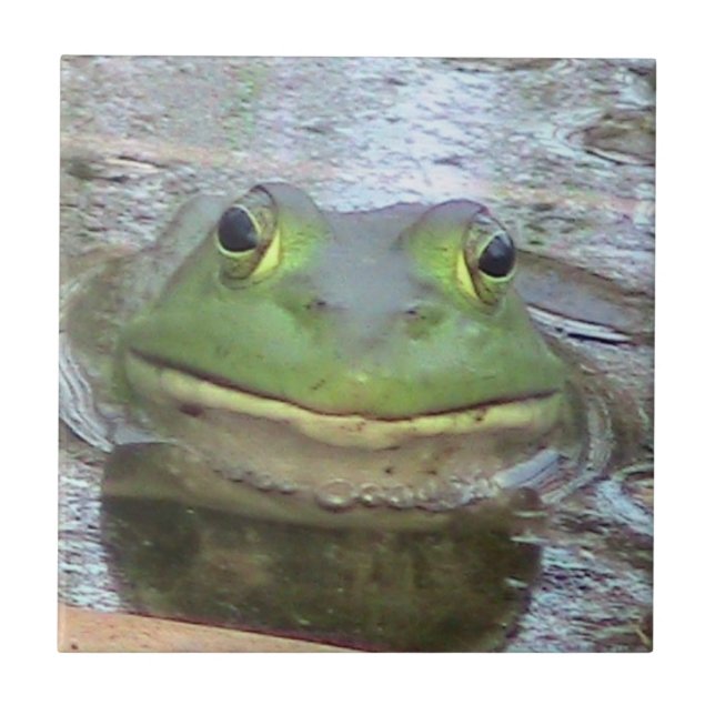 Froschzunge Fliese (Vorderseite)