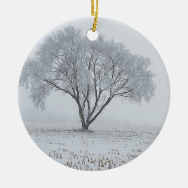 Frost auf einem einsamen Baum Keramik Ornament (Vorne)