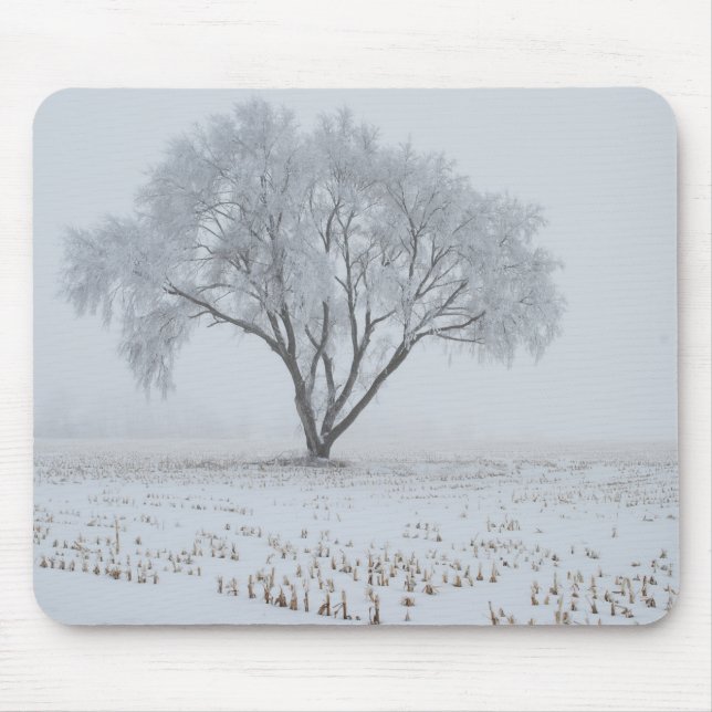 Frost auf einem einsamen Baum Mousepad (Vorne)