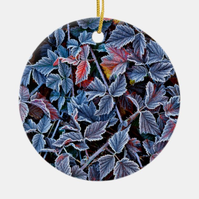 Frost auf Herbstblättern, Oregon Keramik Ornament (Vorne)