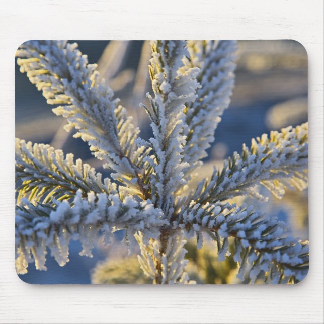 Frost auf immergrünen Baum, Homer, Alaska Mousepad (Vorne)
