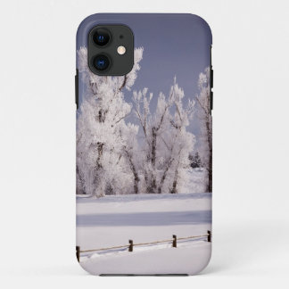 Frost bedeckte Bäume und Zaun, Colorado Case-Mate iPhone Hülle
