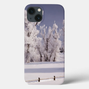 Frost bedeckte Bäume und Zaun, Colorado Case-Mate iPhone Hülle