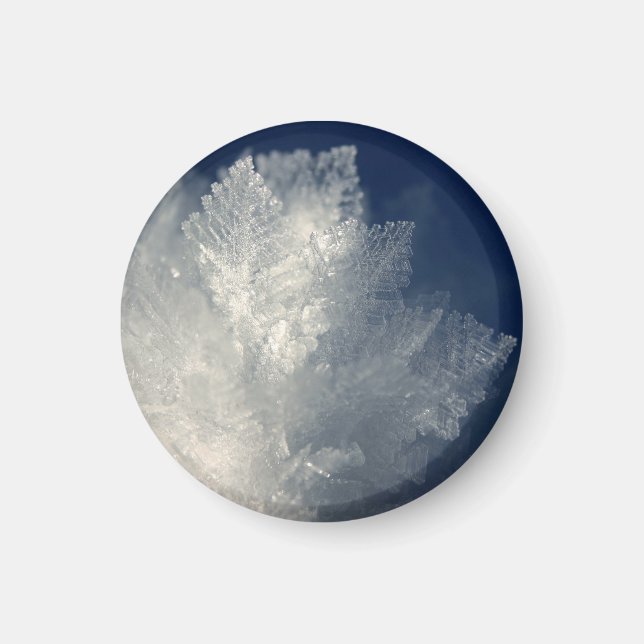 Frost Magnet (Vorne)