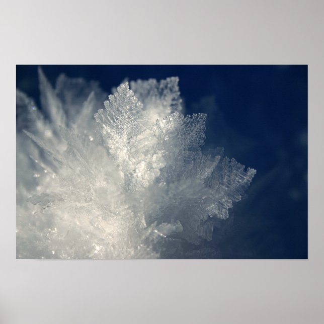 Frost Poster (Vorne)