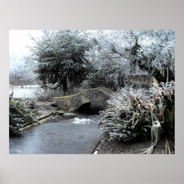 Frost und Eis im Garten von Somerset Poster (Vorne)