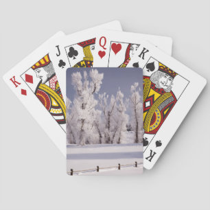 Frostbedeckte Bäume und Zaun, Colorado Spielkarten