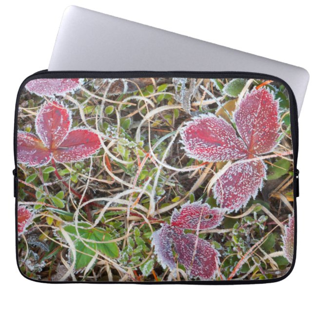Frostbedeckte Blätter, Kanada Laptopschutzhülle (Vorderseite)
