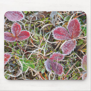 Frostbedeckte Blätter, Kanada Mousepad