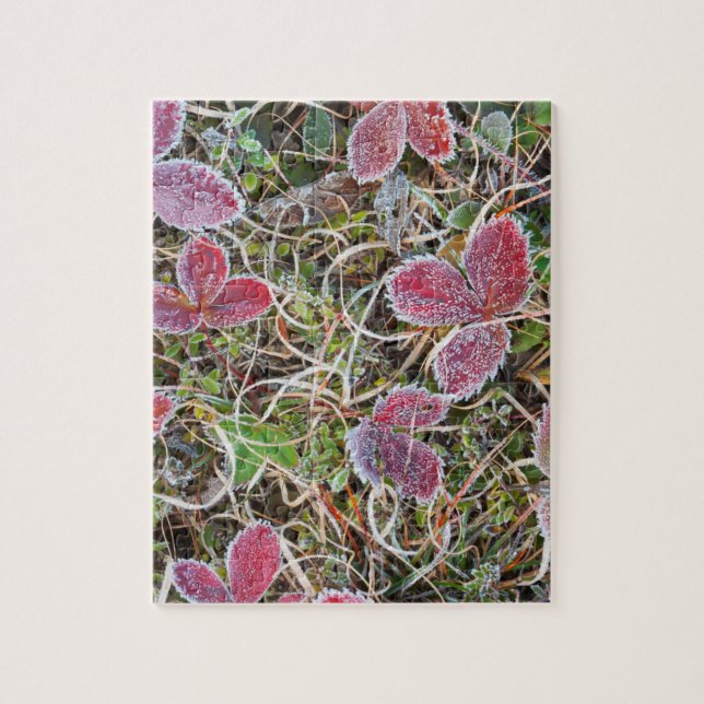 Frostbedeckte Blätter, Kanada Puzzle (Vertikal)